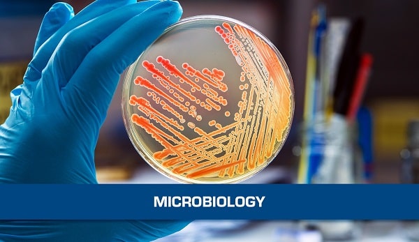 CO2 Incubator in Microbiology